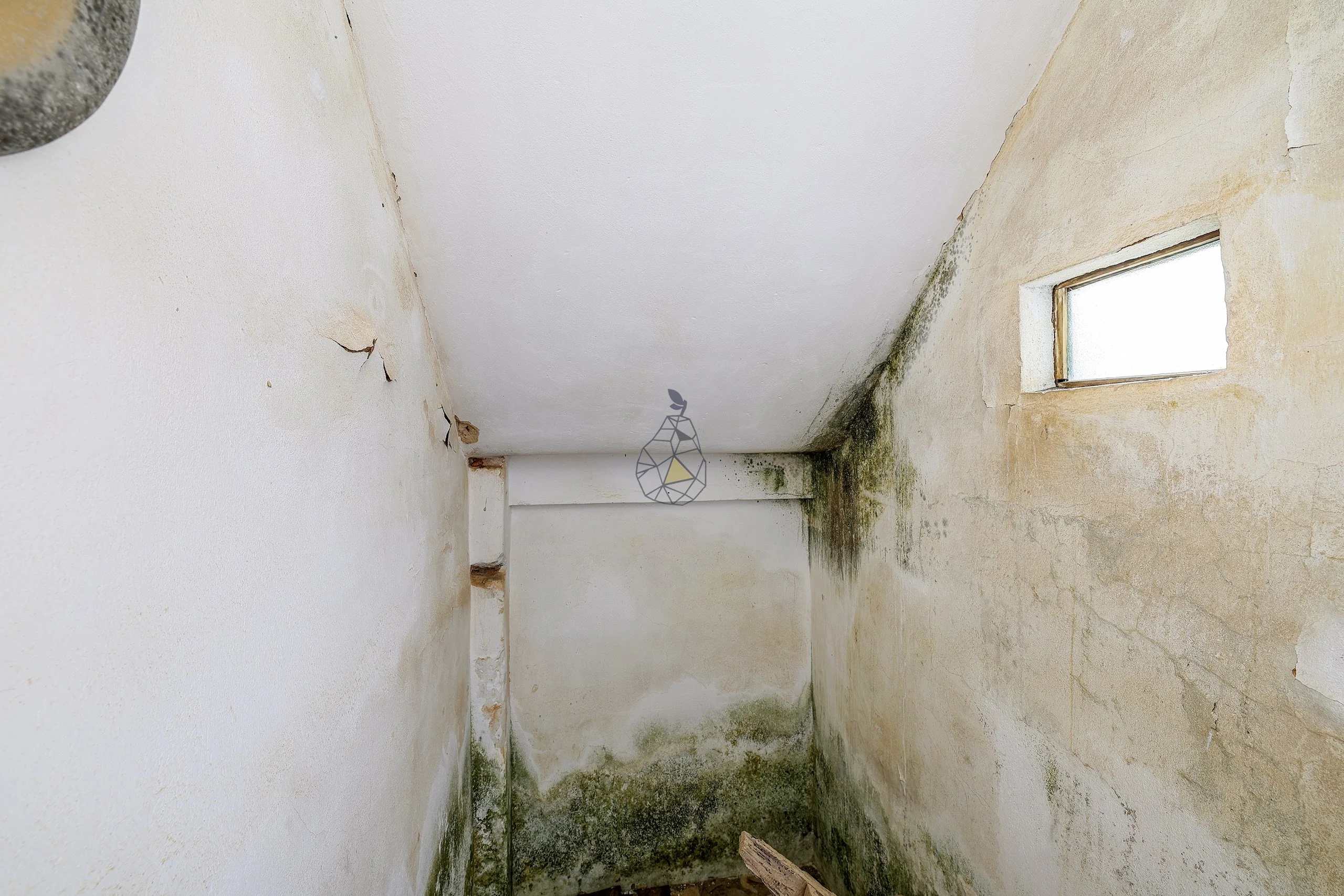 Photo by Pera Premium Properties