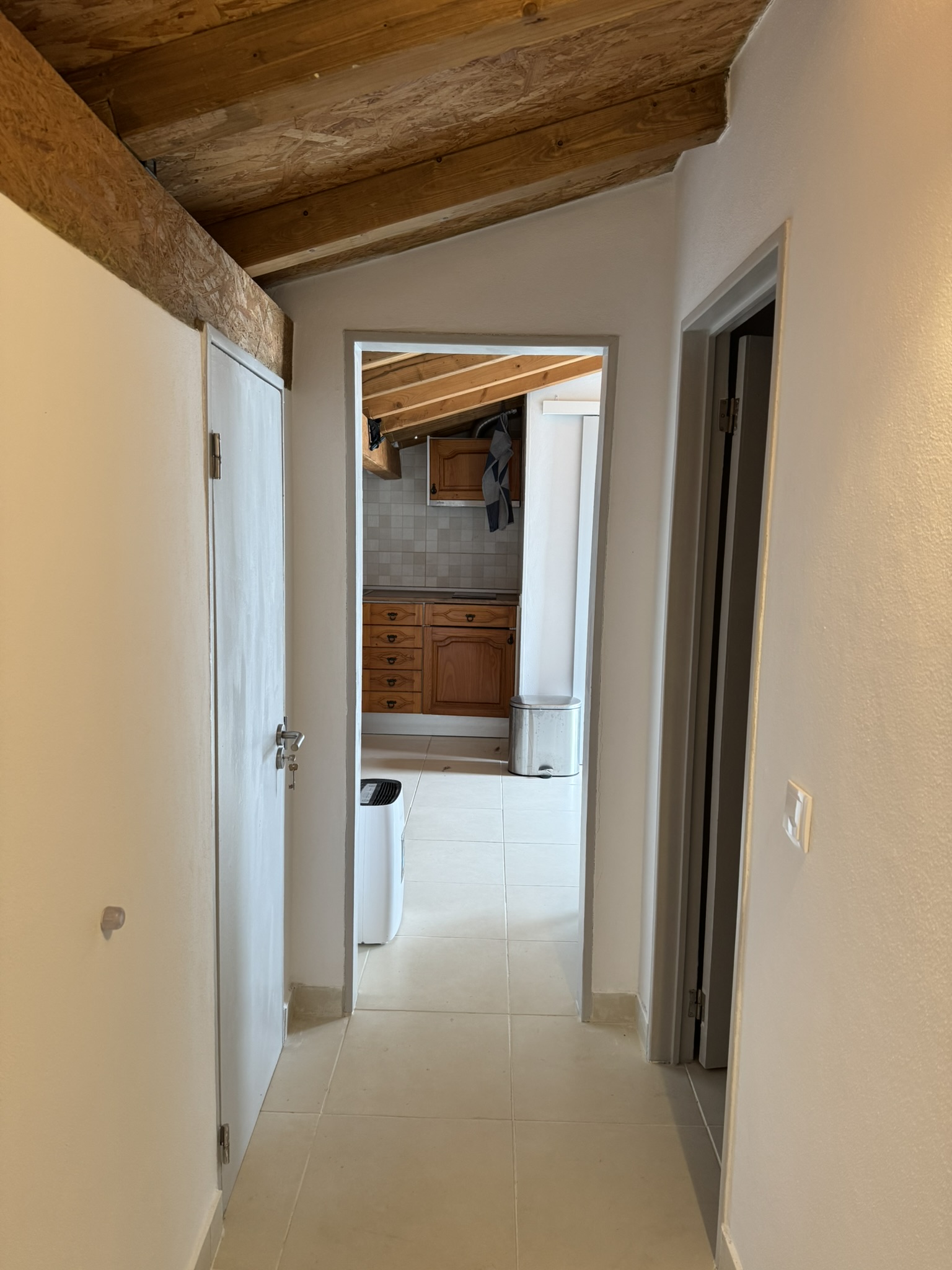 Hallway and Kitchenette