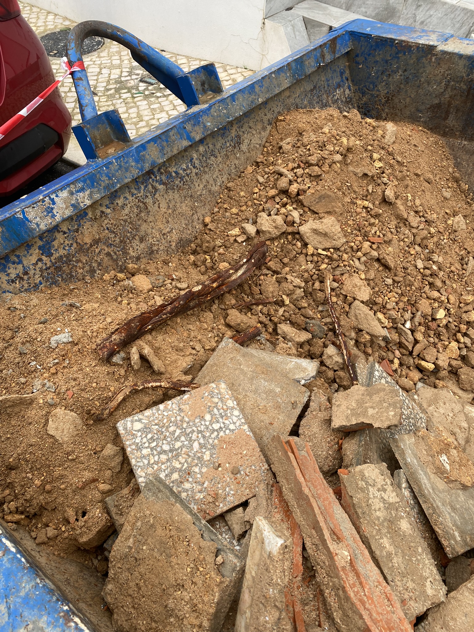 Roots from the internal test escavation